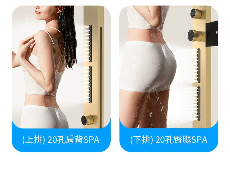 Luxury Multi-Function Shower Panel System with Rainfall Showerhead
